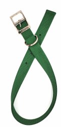 Coastal Hunter Green 2-Ply Nylon Collar 22"