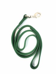 Coastal Hunter Green 2-Ply 4 Foot Nylon Leash 1"