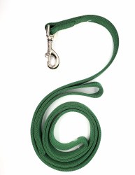 Coastal Hunter Green 2-Ply 6 Foot Nylon Leash 1"