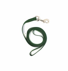 Coastal Hunter Green 4 Foot Nylon Leash 3/8"