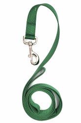 Coastal Hunter Green 6 Foot Nylon Leash 1"