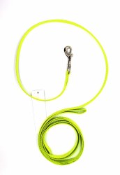 Coastal Lime 6 Foot Nylon Leash 3/8"