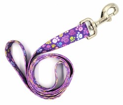 Coastal Purple Paws 4 Foot Nylon Leash 1"