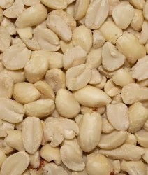 Volkman No-Shell Peanuts 25lb