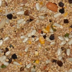 Avian Science Super Cockatiel No Sunflower Seed 40lb