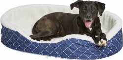 Midwest Quiet Time Couture Blue Orthopedic Nesting Bed 43"