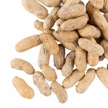 Volkman Inshell Peanuts 25lb