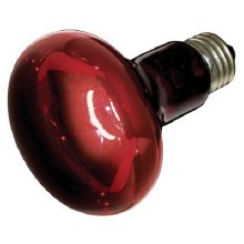 Zoo Med Nocturnal Infrared Heat Bulb 50w