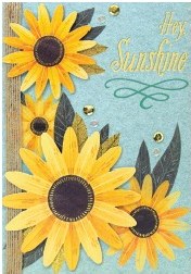 Greeting Card Hey Sunshine