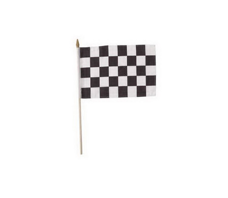 Flag Checkered 8in x 12in