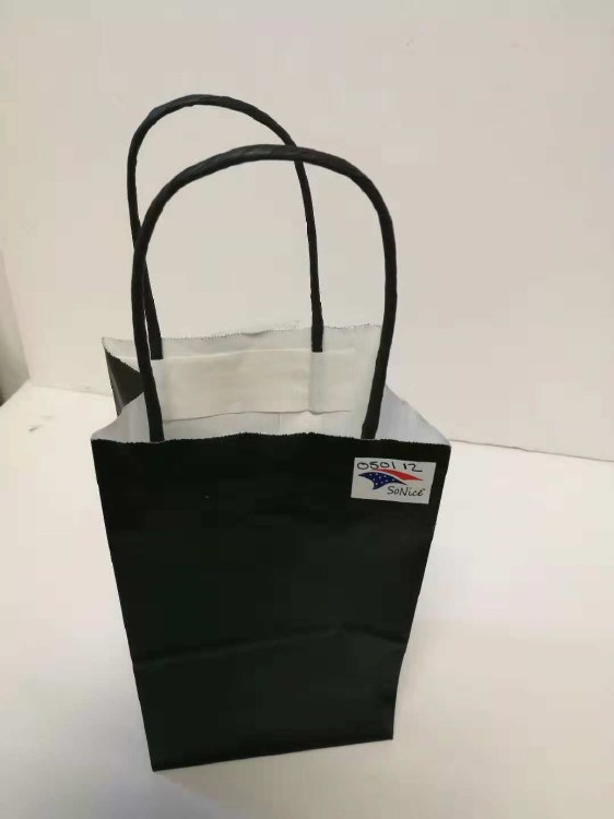 Craft Bags 10x13in Black 12pk