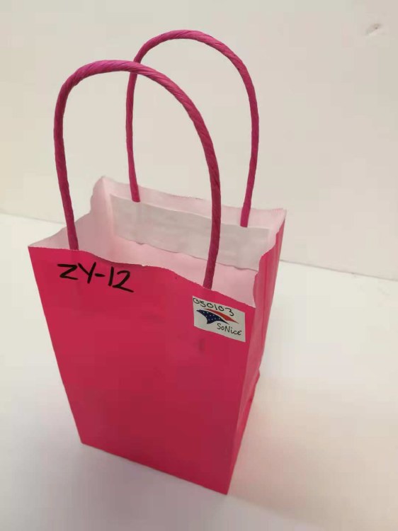 Craft Bag 4.5x6in Fuchsia 12ct