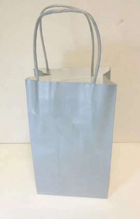 Craft Bag 4.5x6in Silver 12ct