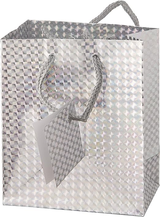 Gift Bag Small Holographic Slv