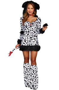 Dalmation Darling XL