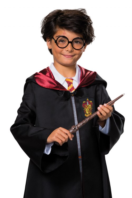 Harry Potter Wand/Glasses Kit