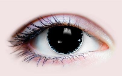 Primal Contacts Chaos