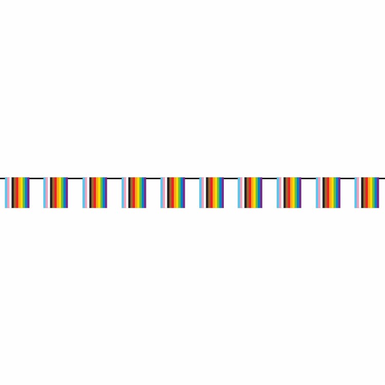 Mini Pride Flag Banner