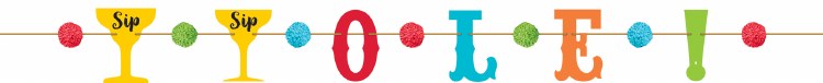 Fiesta Pom Pom Banner