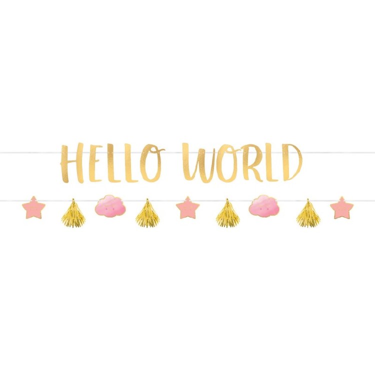 Oh Baby! Hello World Girl Banner