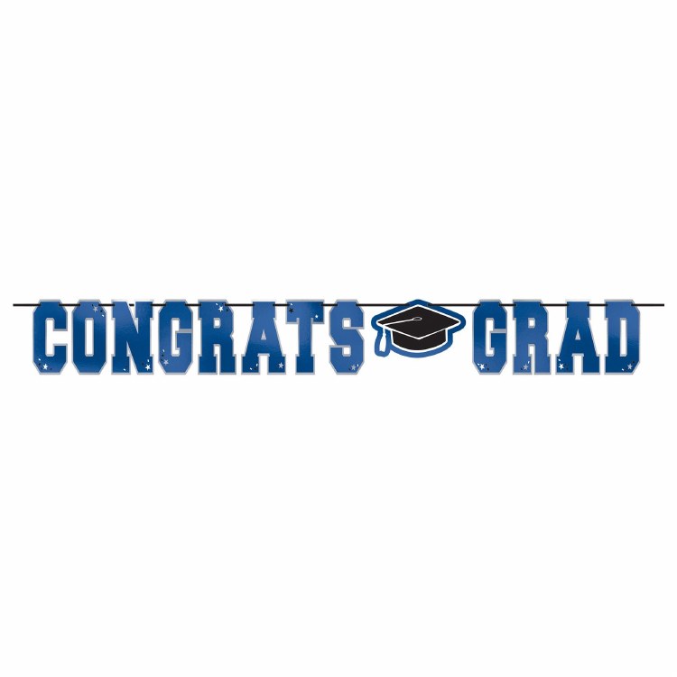 School Colors Blue Banner