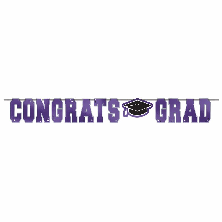 School Colors Purple Banner