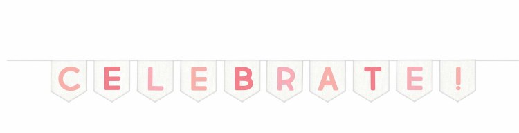 Bday Pinks Fabric Banner Celebrate 9ft