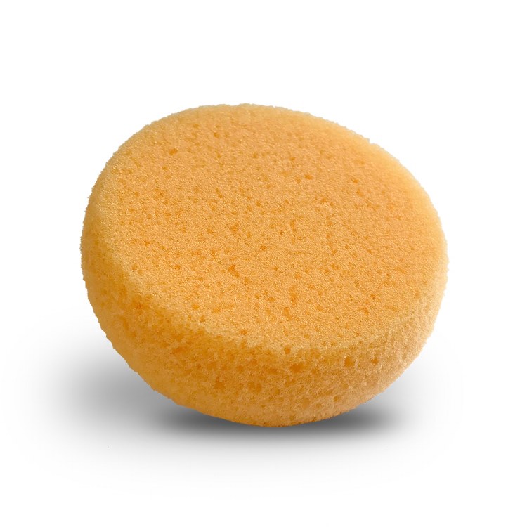 Sponge Foam Hydra
