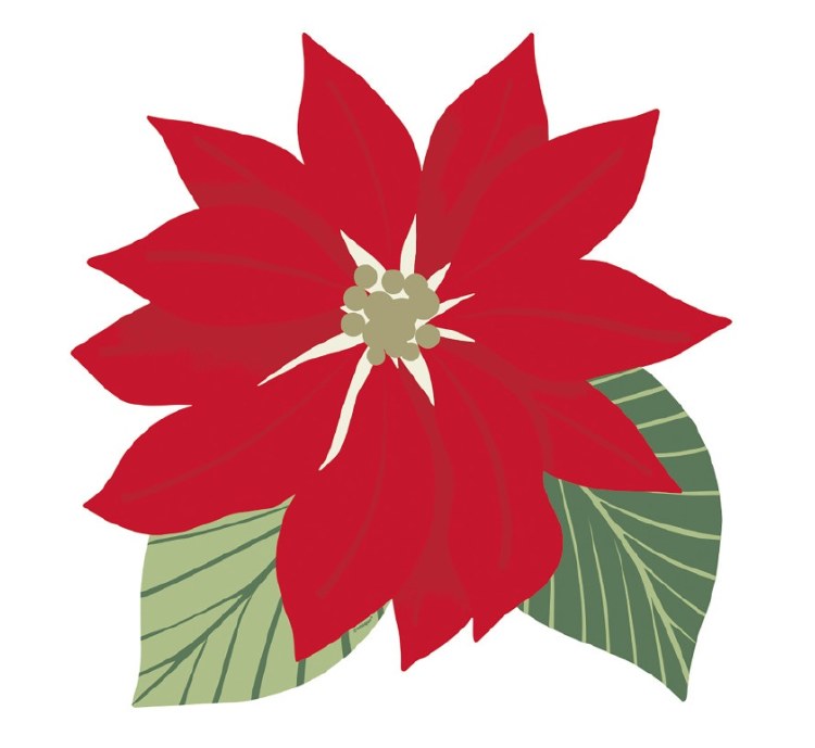 Poinsettia Shaped Placemat 8ct