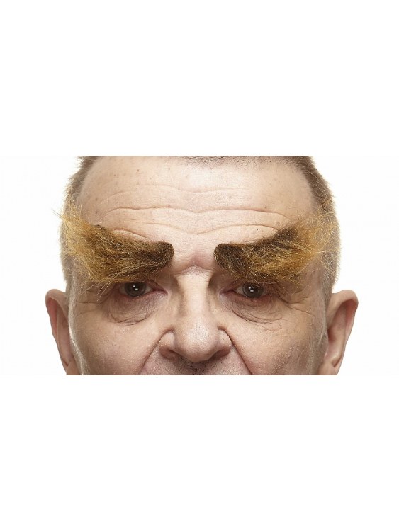 Scruffy Eyebrows - Auburn