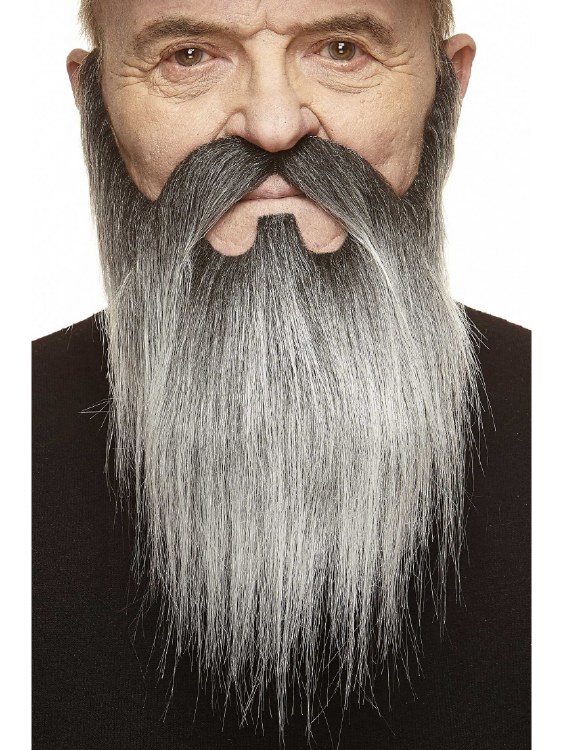 Beard Full Long Grey