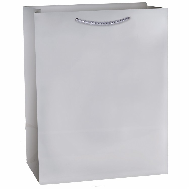 Gift Bag Med Silver Matte