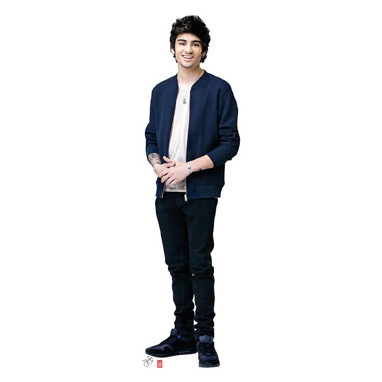 Zayn 1 Direction #1638