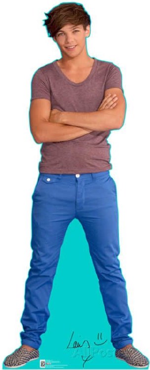 Louis 1 Direction #1638