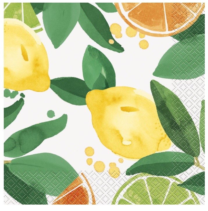 Citrus Fruit Lun Nap