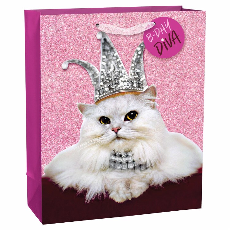 Gift Bag Cat Diva Large Pnk