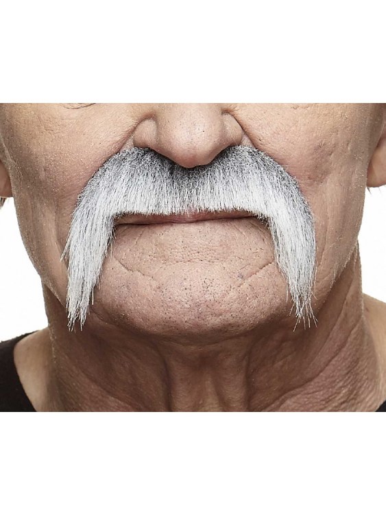Moustache Long Grey