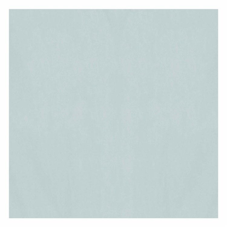 Tissue Paper Silver 5ct