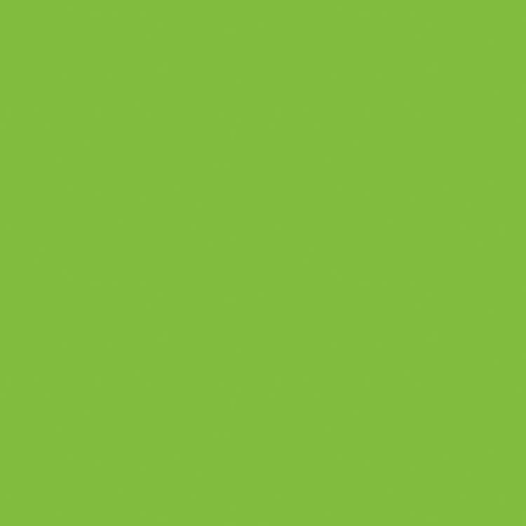 Wrapping Paper Roll - Kiwi