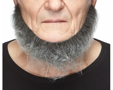 Beard Chin Grey