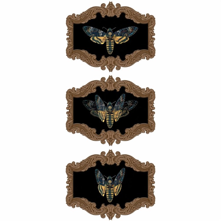 Dark Academia Moth Lenticular