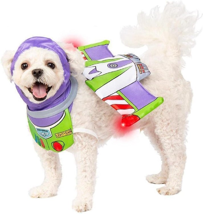 Pet Buzz Lightyear