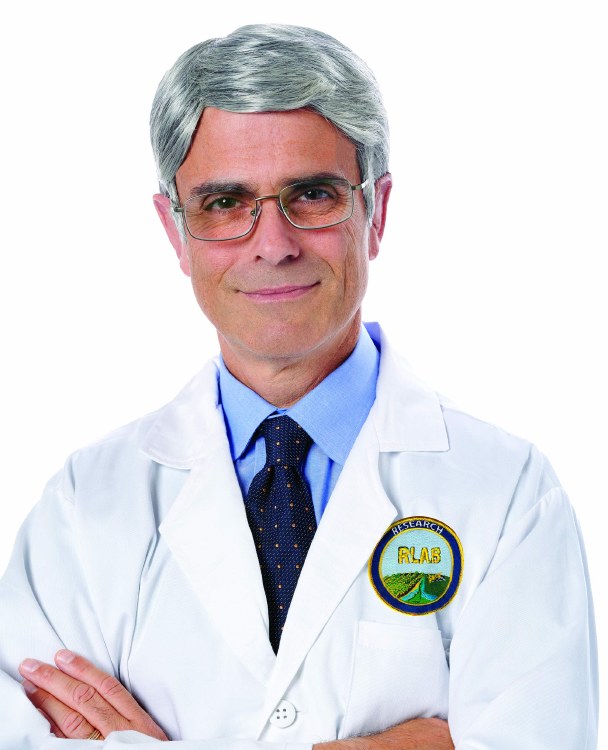 Wig Feisty Fauci Grey