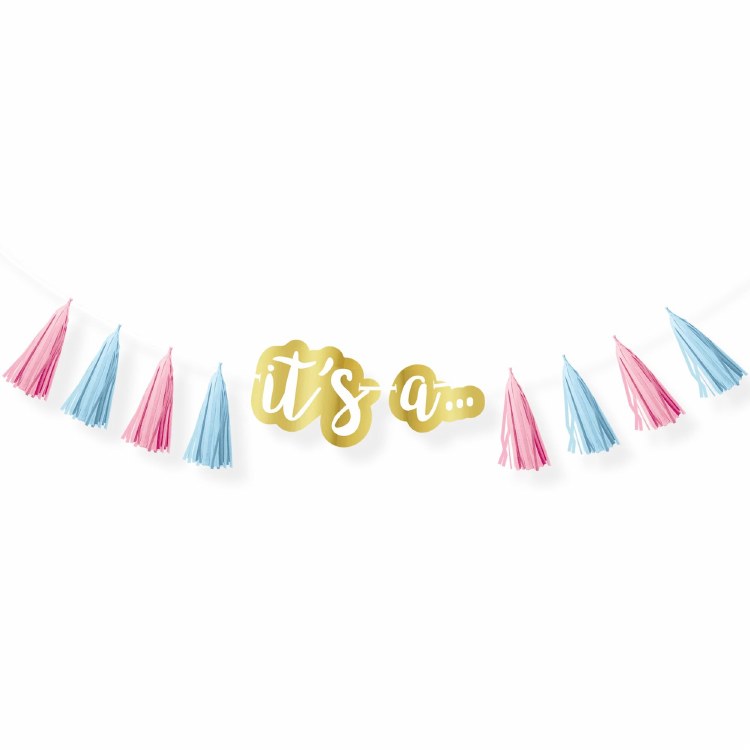 Gender Reveal Tassel Garland Banner