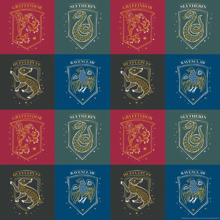 Harry Potter Gift Wrap