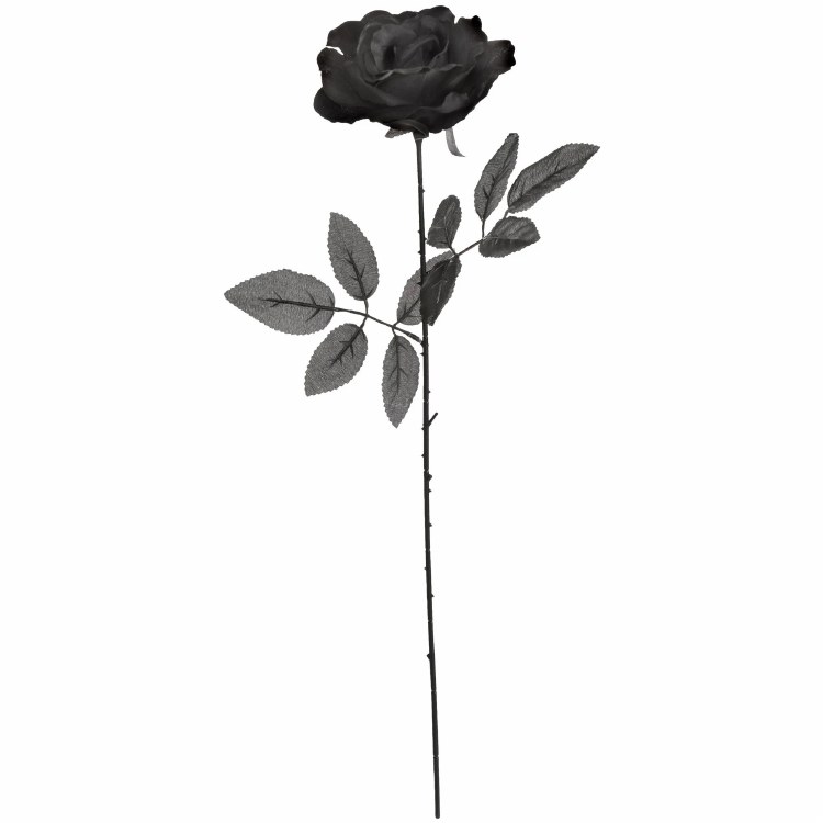 Single Stem Black Rose