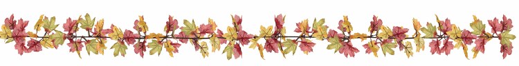 Fall Leaves Garland