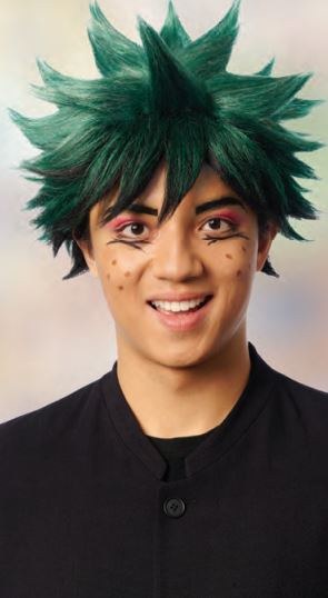 Anime Hero Wig Green/Black