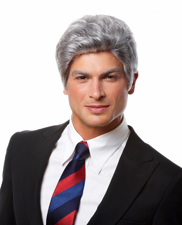 Mr President Wig - Grey