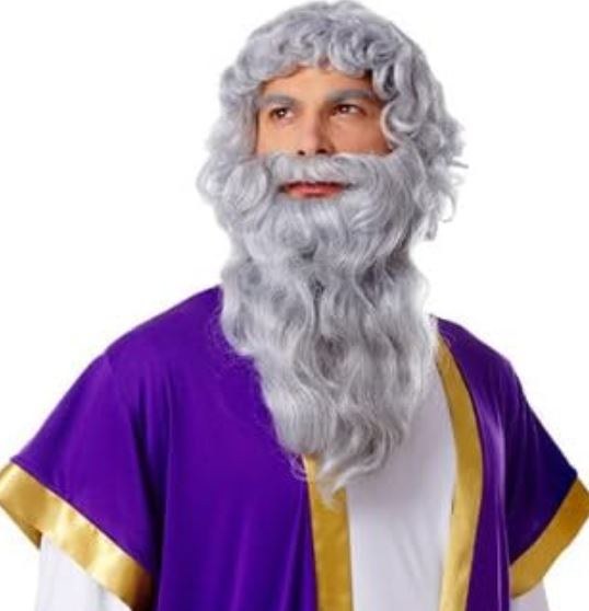 Biblical w/Beard Grey